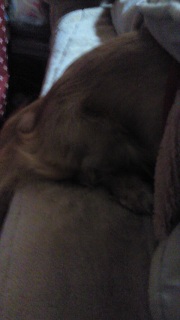 ����o�Ă�