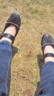 ���Ă�����