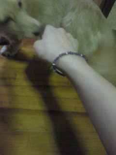 �p���[�X�g�[��