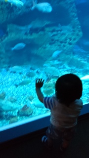 ���߂Ă̐�����